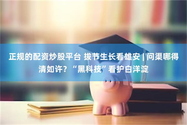正规的配资炒股平台 拔节生长看雄安 | 问渠哪得清如许？“黑科技”看护白洋淀