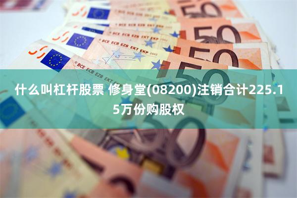 什么叫杠杆股票 修身堂(08200)注销合计225.15万份购股权