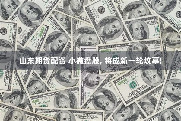 山东期货配资 小微盘股, 将成新一轮坟墓!
