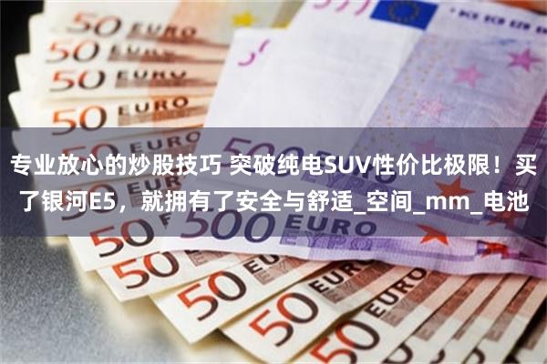 专业放心的炒股技巧 突破纯电SUV性价比极限！买了银河E5，就拥有了安全与舒适_空间_mm_电池