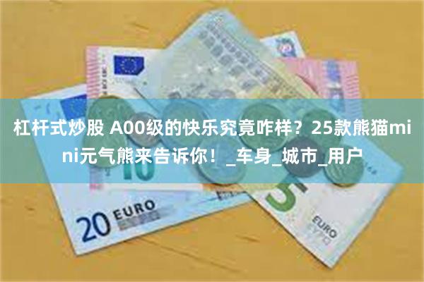 杠杆式炒股 A00级的快乐究竟咋样？25款熊猫mini元气熊来告诉你！_车身_城市_用户