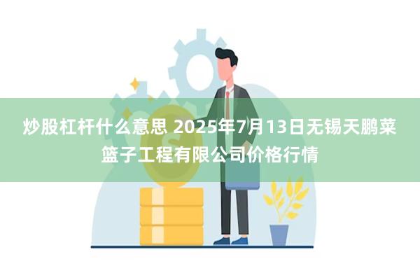 炒股杠杆什么意思 2025年7月13日无锡天鹏菜篮子工程有限公司价格行情