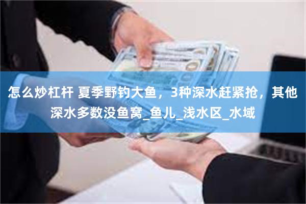 怎么炒杠杆 夏季野钓大鱼，3种深水赶紧抢，其他深水多数没鱼窝_鱼儿_浅水区_水域