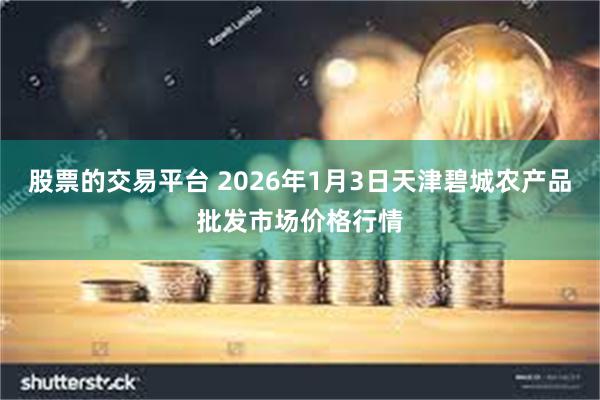 股票的交易平台 2026年1月3日天津碧城农产品批发市场价格行情